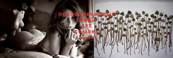 а пвп мука Алексеевка
