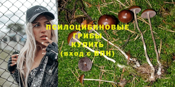 мет Зеленодольск