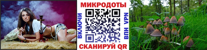 Псилоцибиновые грибы ЛСД  Рыбное 